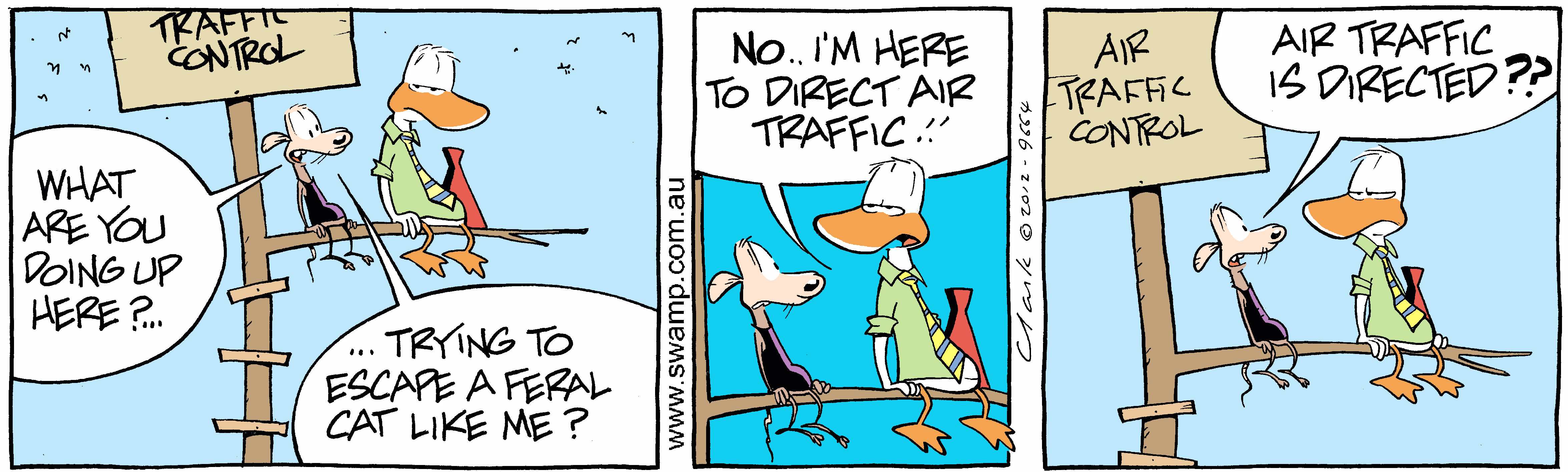 Escape a Feral Cat Colour Cartoon